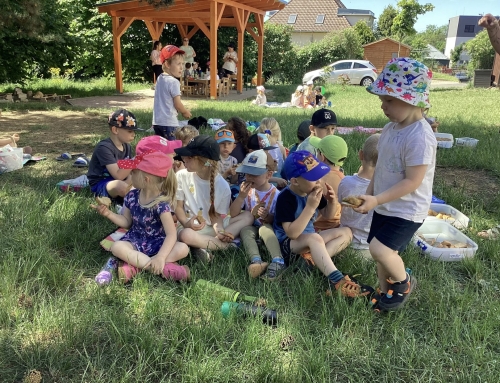 PIKNIK NA ZAHRADĚ – REPORT